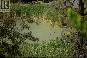 12798 Lake Hill Drive Unit# 8 - Photo 51