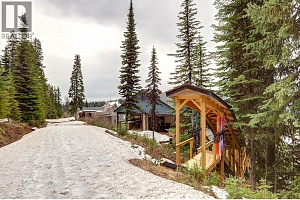 9834 Cathedral Drive - Photo 46