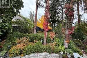 5173 Chute Lake Crescent - Photo 32