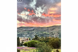 7089 Longacre Drive - Photo 47