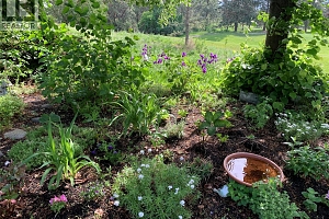 3889 Gallaghers Grange - Photo 16