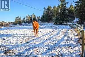 5860 Learmouth Road - Photo 63