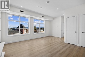 5300 Main Street Unit# 203 - Photo 12