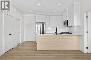 5300 Main Street Unit# 203 - Photo 3