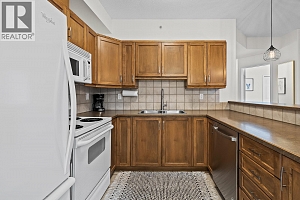 1128 Sunset Drive Unit# 1404 - Photo 10