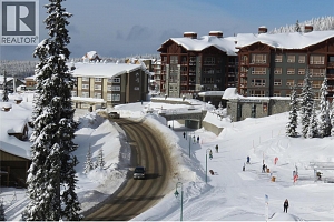 255 Feathertop Way Unit# 222 - Photo 2