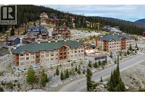 255 Feathertop Way Unit# 222 - Photo 3