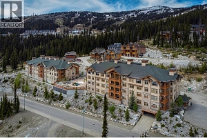 255 Feathertop Way Unit# 222 - Photo 4