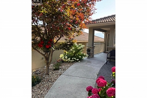 2455 Quail Ridge Boulevard Unit# 213 - Photo 5