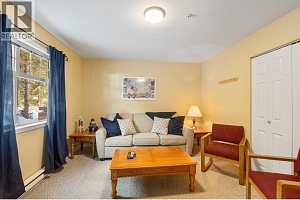 4940 Snowpines Road Unit# B - Photo 21