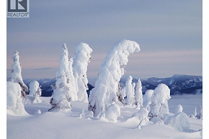 4940 Snowpines Road Unit# B - Photo 35