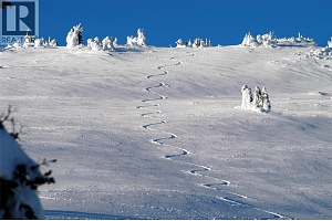 4940 Snowpines Road Unit# B - Photo 36