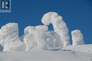 4940 Snowpines Road Unit# B - Photo 37