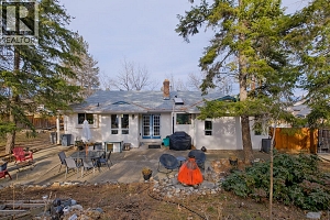 5271 Chute Lake Road - Photo 52