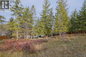 5271 Chute Lake Road - Photo 55