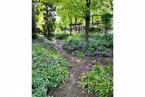 171 Snowsell North Street - Photo 29