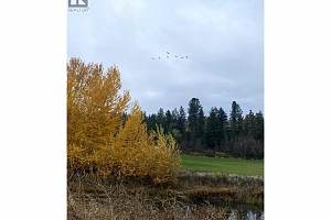 3995 Swamp Road - Photo 19