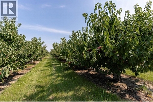 1409 + 1429 Teasdale Road - Photo 53