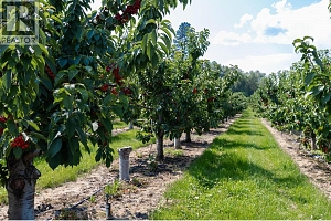 1409 + 1429 Teasdale Road - Photo 55