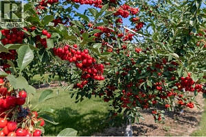 1409 + 1429 Teasdale Road - Photo 62