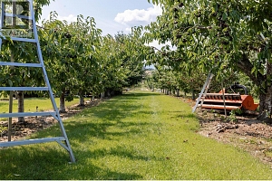 1409 + 1429 Teasdale Road - Photo 63