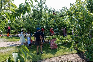 1409 + 1429 Teasdale Road - Photo 64