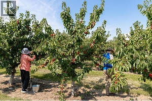 1409 + 1429 Teasdale Road - Photo 66