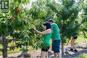 1409 + 1429 Teasdale Road - Photo 67