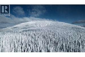 127 5340 Big White Road - Photo 2