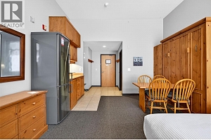 127 5340 Big White Road - Photo 9