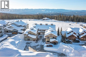 5045 Snowbird Way Unit# 5 - Photo 35