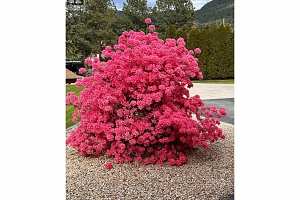 5100 Haynes Road - Photo 77