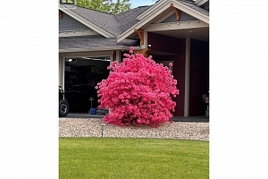 5100 Haynes Road - Photo 78