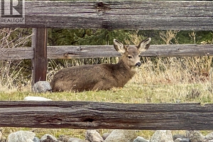 4035 Gellatly Road S Unit# 273 - Photo 67