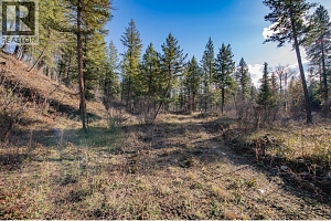 370 Charles Road - Photo 12