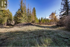 370 Charles Road - Photo 13