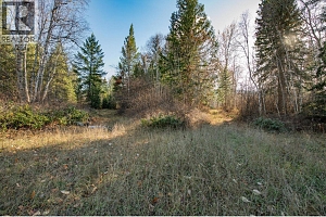 370 Charles Road - Photo 16