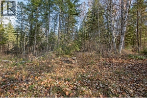 370 Charles Road - Photo 17