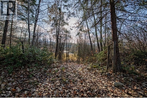 370 Charles Road - Photo 18