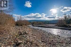 370 Charles Road - Photo 19