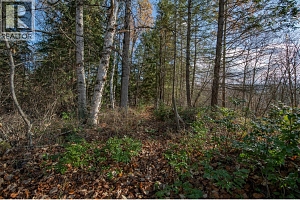 370 Charles Road - Photo 23