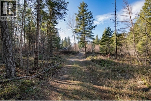 370 Charles Road - Photo 24