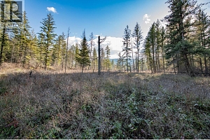 370 Charles Road - Photo 26