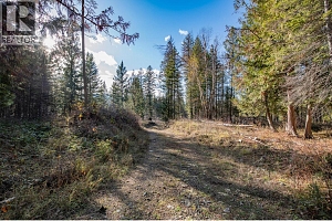 370 Charles Road - Photo 28