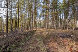 370 Charles Road - Photo 29