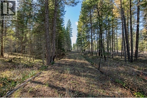 370 Charles Road - Photo 4