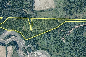 370 Charles Road - Photo 5