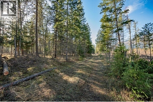 370 Charles Road - Photo 8