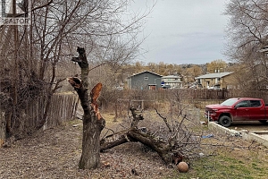 3708 25 Avenue - Photo 4