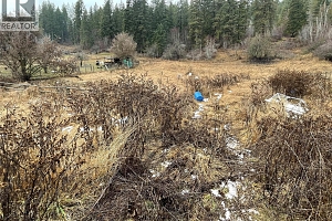 133 West Enderby Road - Photo 6